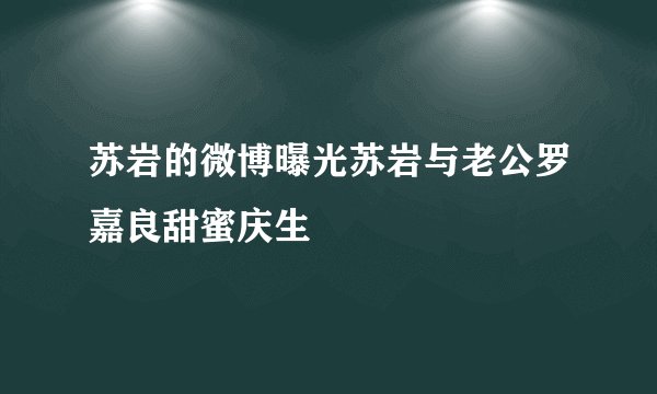苏岩的微博曝光苏岩与老公罗嘉良甜蜜庆生