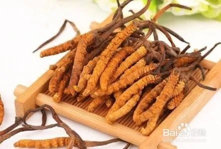 冬虫夏草价格表