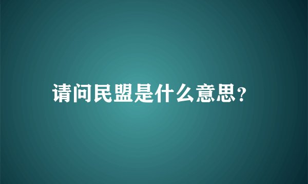 请问民盟是什么意思？
