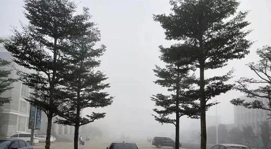 海南多市大雾预警 海口美兰机场航班停止起飞