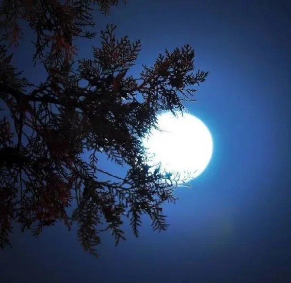 我跟女儿说你一定谈恋爱了她哭是怎么回事儿？