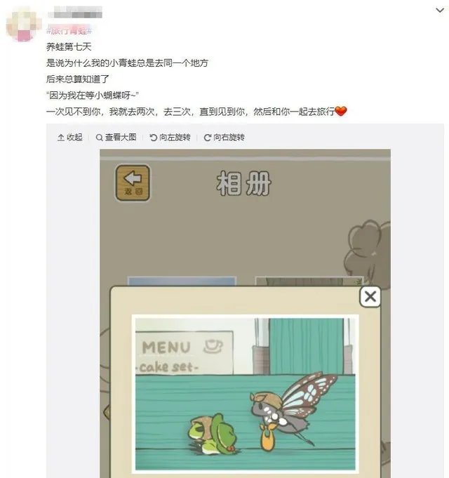 天天都在苦等照片 蛙儿子为何深得人心