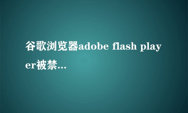 谷歌浏览器adobe flash player被禁用怎么解决