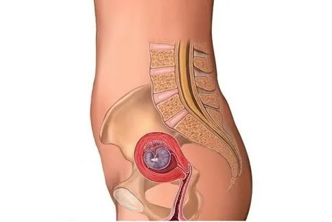 怀孕1一9月肚子变化图过程