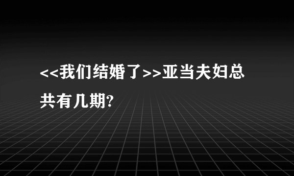 <<我们结婚了>>亚当夫妇总共有几期?
