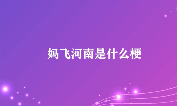 囧妈飞河南是什么梗