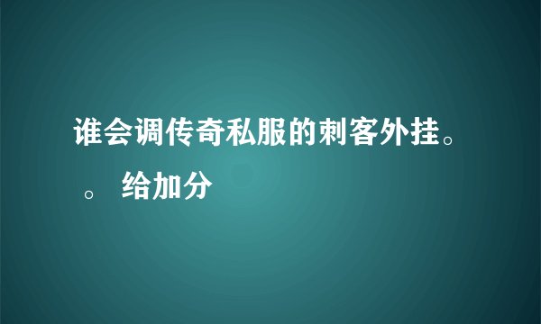 谁会调传奇私服的刺客外挂。 。 给加分