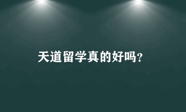 天道留学真的好吗？