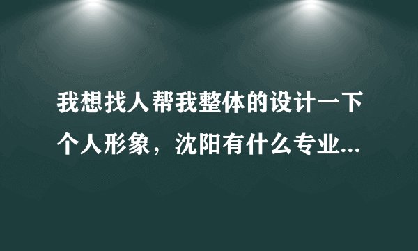 我想找人帮我整体的设计一下个人形象，沈阳有什么专业些的地方可以推荐？