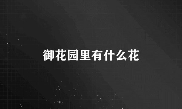 御花园里有什么花