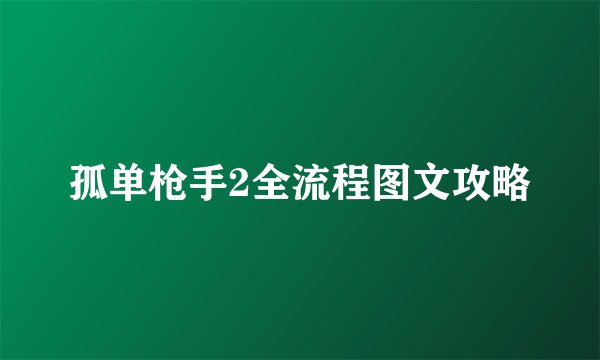 孤单枪手2全流程图文攻略