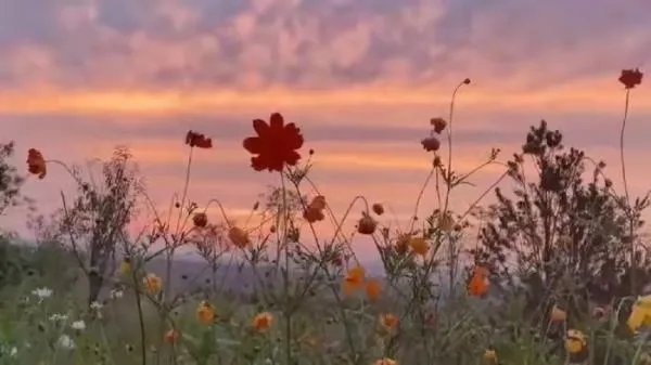 为什么长得漂亮的姑娘反而不会被真正喜欢？