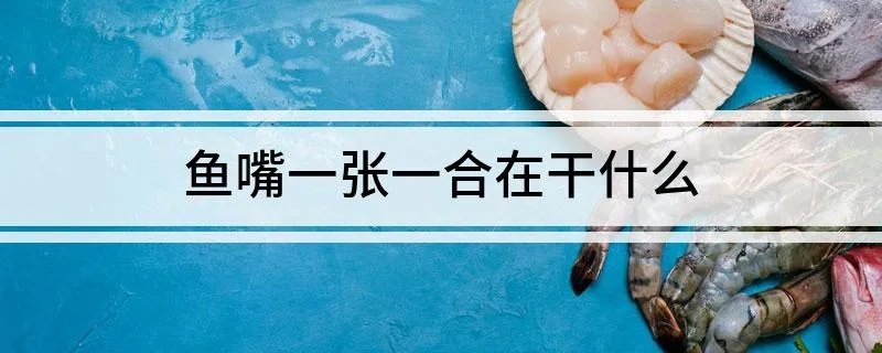 鱼嘴一张一合在干什么