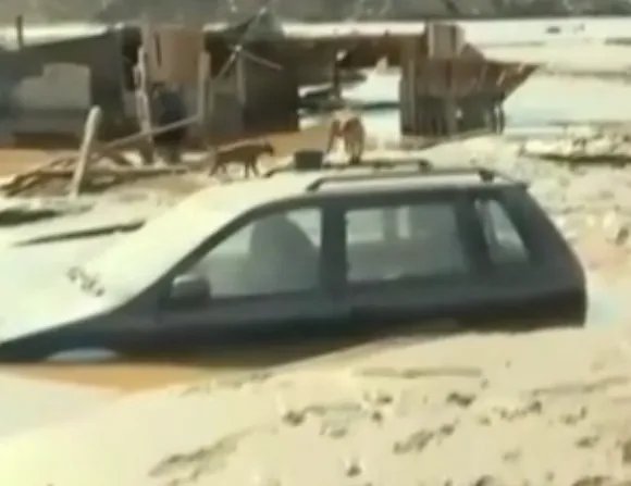 智利暴雨引发洪水灾害 水深齐腰汽车被淹没