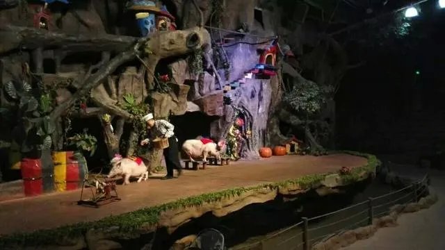 佛山哪里的游乐场好玩?