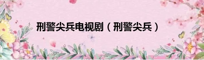 刑警尖兵电视剧（刑警尖兵）