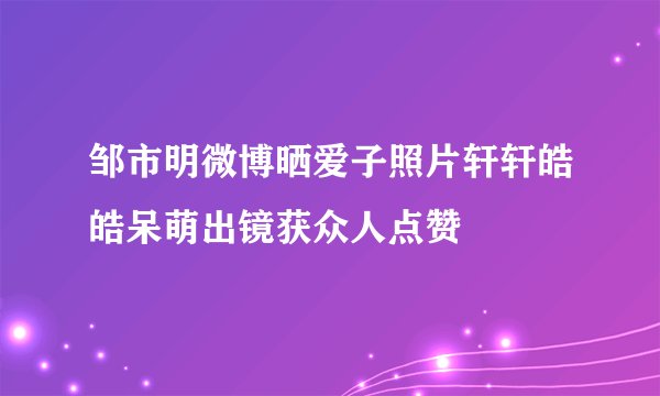 邹市明微博晒爱子照片轩轩皓皓呆萌出镜获众人点赞
