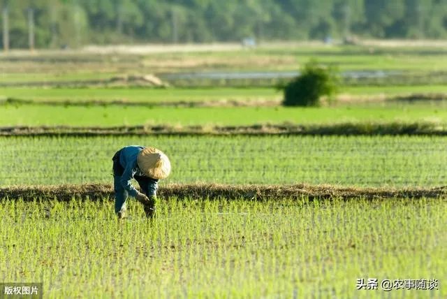 王福重说农民没有贡献,出大力流大汗是种懒惰和愚蠢,你怎么看?