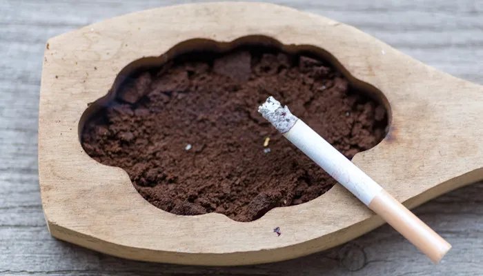 华子是个什么梗 来根华子是什么意思