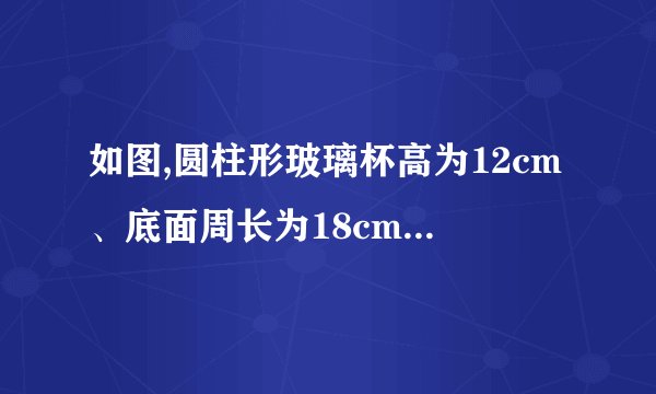 如图,圆柱形玻璃杯高为12cm、底面周长为18cm,在杯内离杯底4cm的点C处有一滴蜂蜜,此时一只蚂蚁正好在杯外壁,离杯上沿4cm与蜂蜜相对的点A处,则蚂蚁到达蜂蜜的最短距离为_______cm.