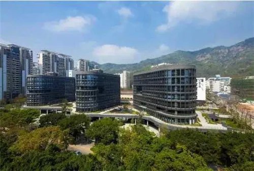 招商蛇口房子口碑怎么样