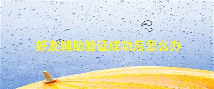 好友辅助验证成功后怎么办