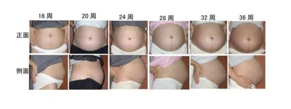怀孕1一9月肚子变化图过程
