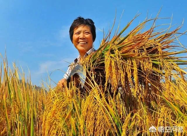 王福重说农民没有贡献,出大力流大汗是种懒惰和愚蠢,你怎么看?