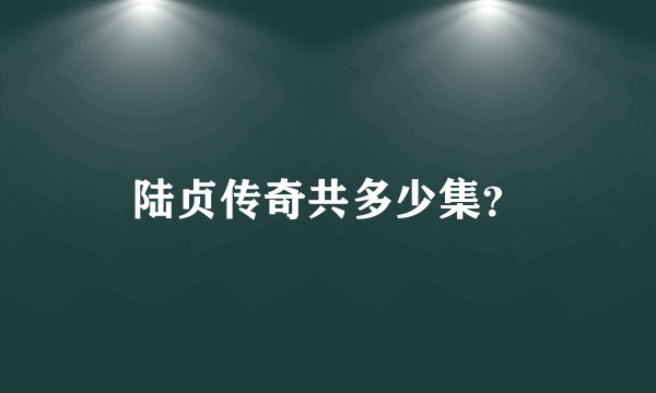 陆贞传奇共多少集？