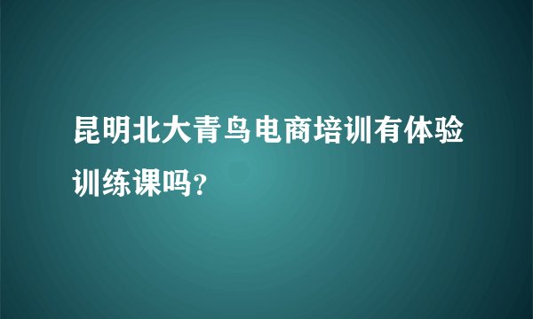 昆明北大青鸟电商培训有体验训练课吗？