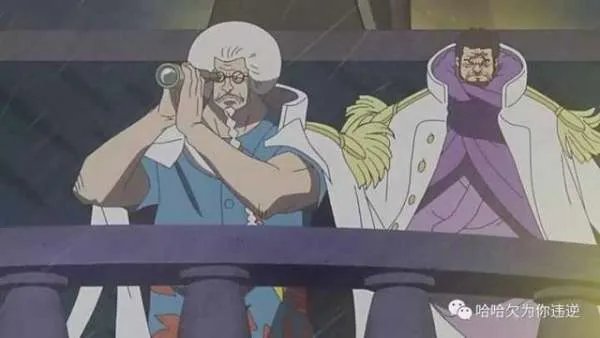 海贼王人人果实能力 佛之战国为什么会变成白发