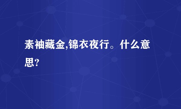 素袖藏金,锦衣夜行。什么意思?