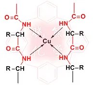 双缩脲试剂能和二肽反应吗?是与几个钛键才反应啊?