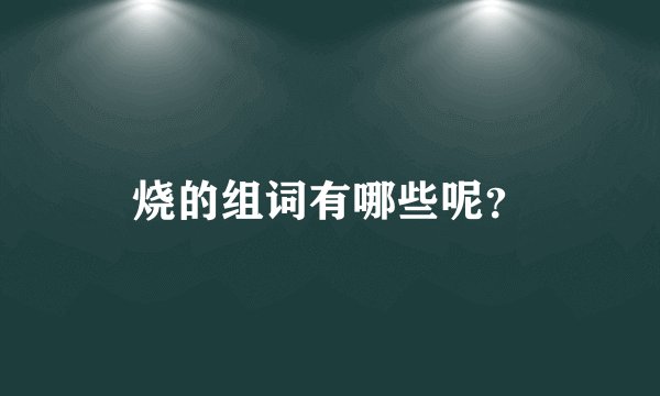 烧的组词有哪些呢？