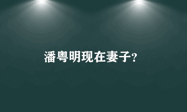 潘粤明现在妻子？