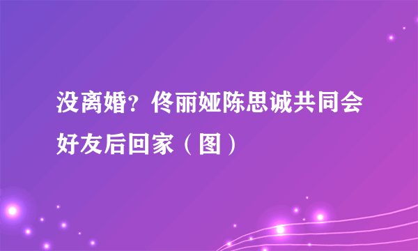 没离婚？佟丽娅陈思诚共同会好友后回家（图）