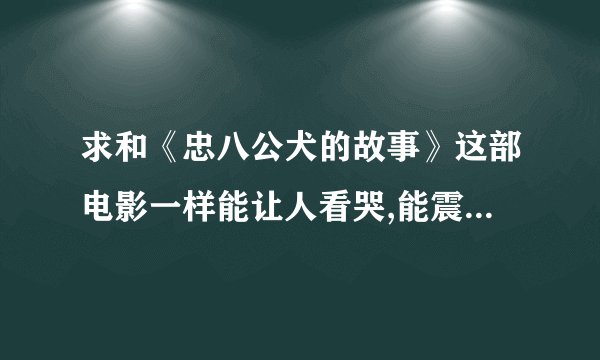 求和《忠八公犬的故事》这部电影一样能让人看哭,能震撼心灵的欧美电影！
