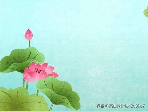 古诗《小池》里晴柔是什么意思？