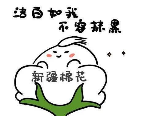 安踏称将退出BCI组织，对其品牌有何影响？