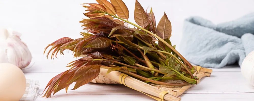 香椿芽怎么冷冻保存 香椿芽冷冻保存的方法