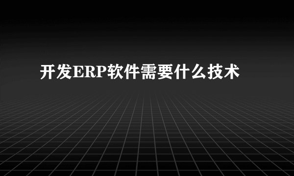 开发ERP软件需要什么技术