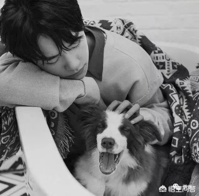 18年艺考生吴磊和易烊千玺，你觉得谁更受北电中戏的青睐？