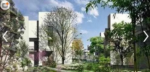 女子骗朋友巨款 为弥补丈夫称能买到内部价别墅