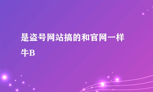 是盗号网站搞的和官网一样  牛B