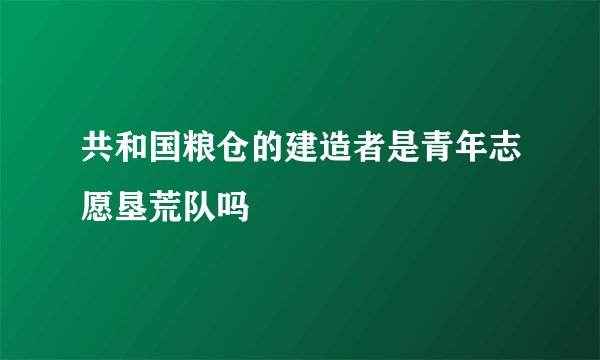 共和国粮仓的建造者是青年志愿垦荒队吗