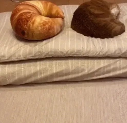 想吃汉堡王还得先女装 动图 今天来的一个都别想跑！