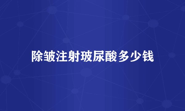 除皱注射玻尿酸多少钱