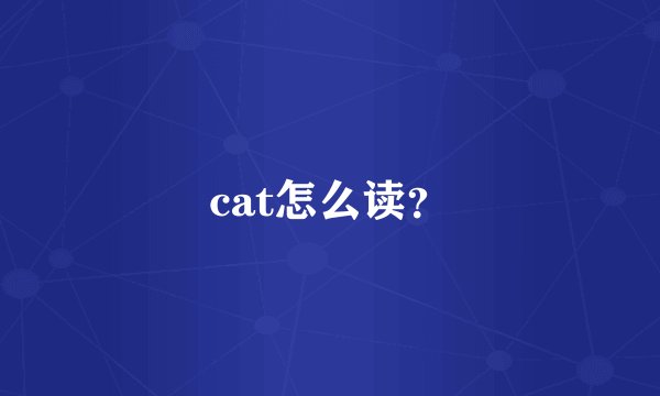 cat怎么读？
