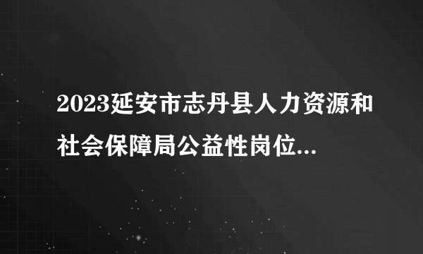 2023延安市志丹县人力资源和社会保障局公益性岗位招聘公告（39人）