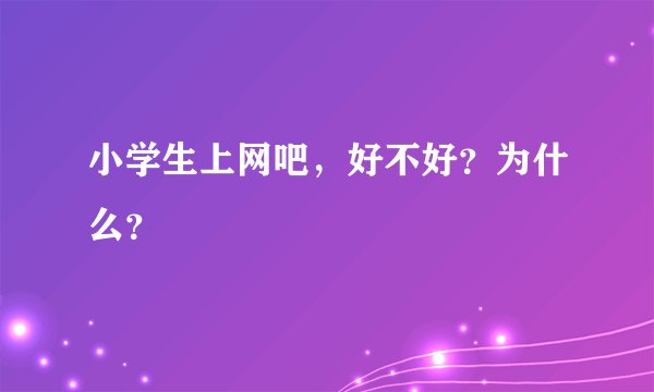 小学生上网吧，好不好？为什么？